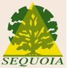 sequoia2