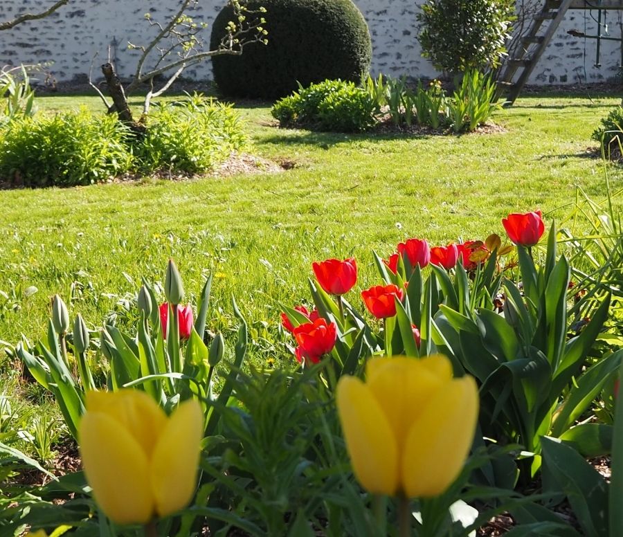 Jardin de fleurs