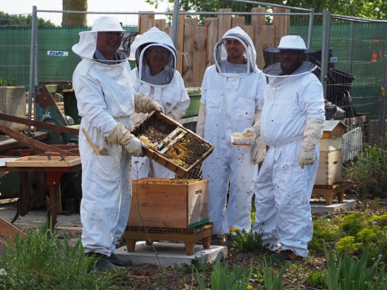 Apiculture protection des abeilles