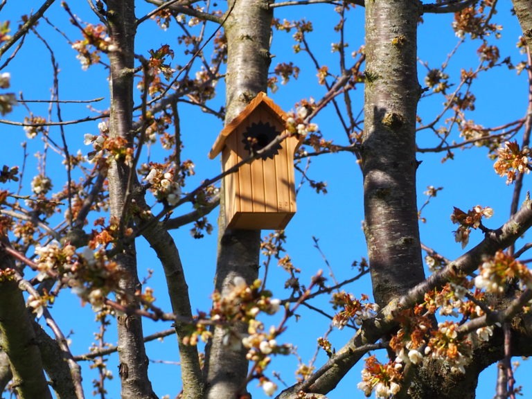 Nichoirs biodiversité lutte biologique