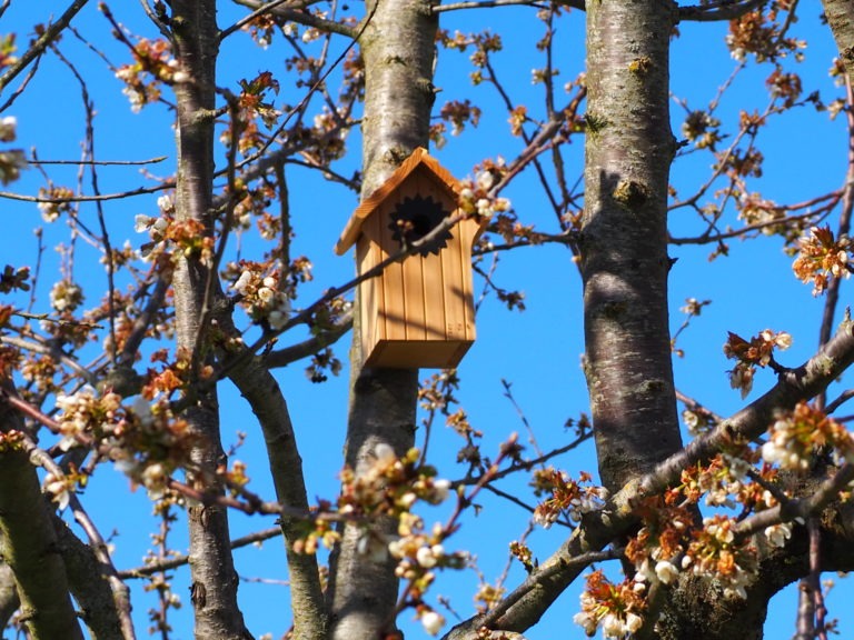 Nichoirs biodiversité lutte biologique