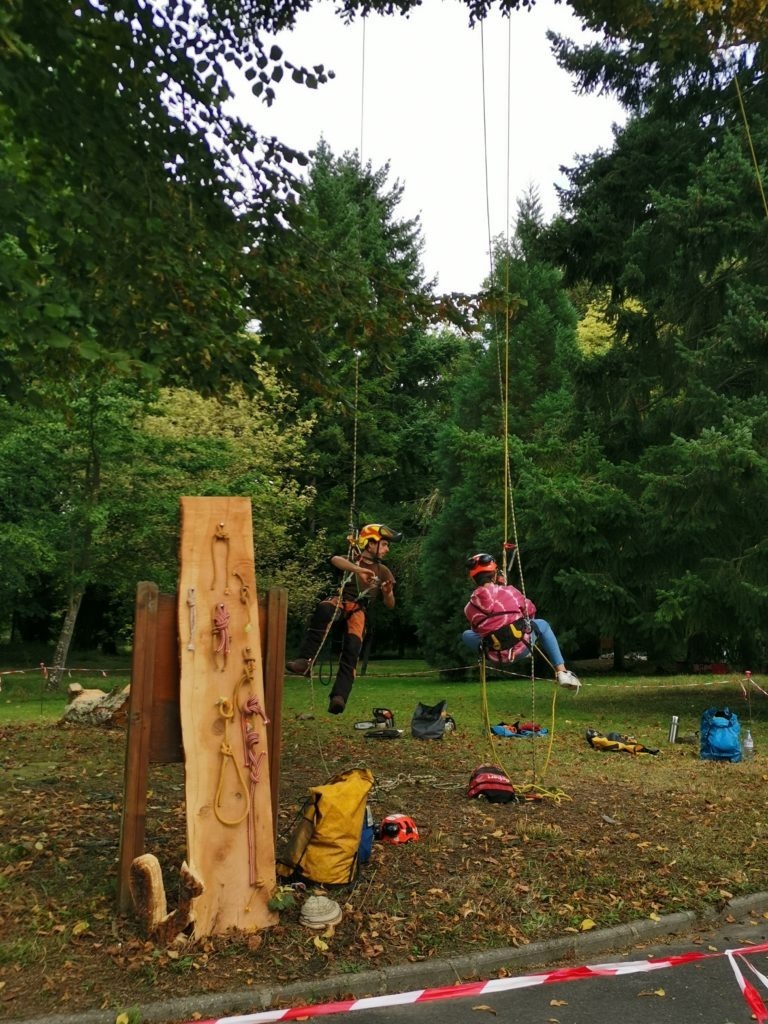 Atelier de démonstration du métier d'Elagueur lors du concours MAF Paysagiste