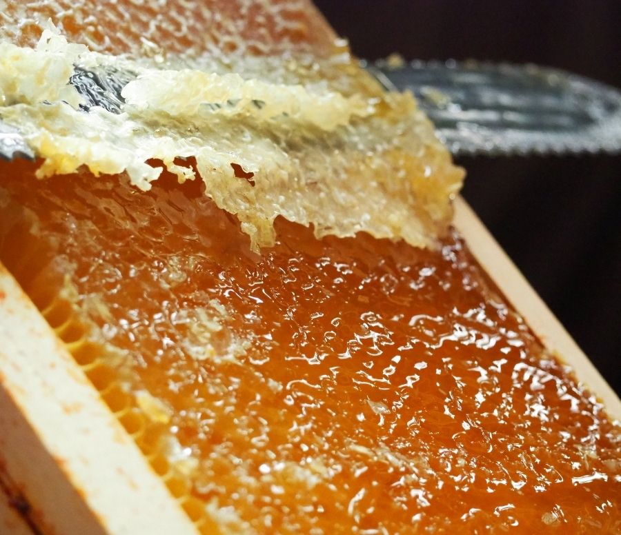 Apiculture : Récolte de miel
